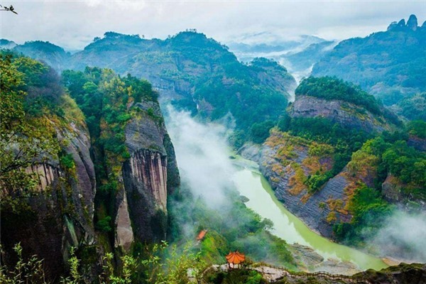 武夷山在哪里个省市:福建的西北部(很是有名)