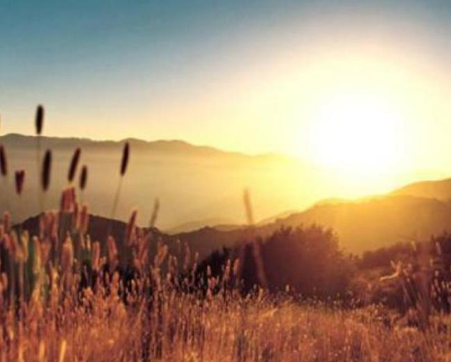 maybe是什么意思