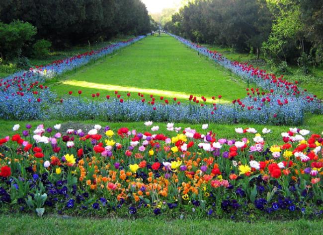 garden是什么意思