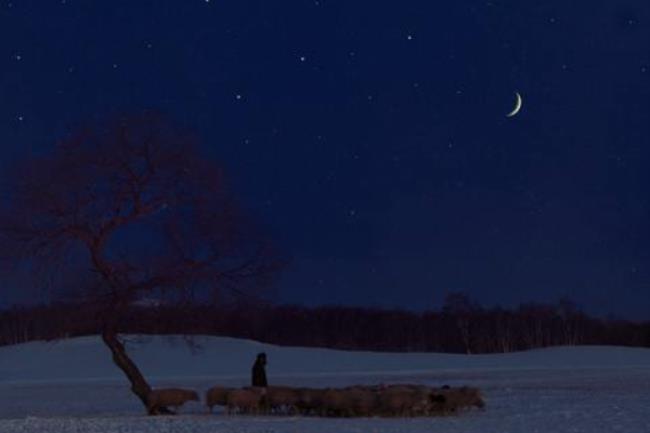 披星戴月是什么意思