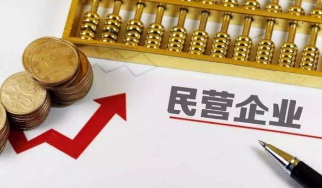 民营企业是什么意思