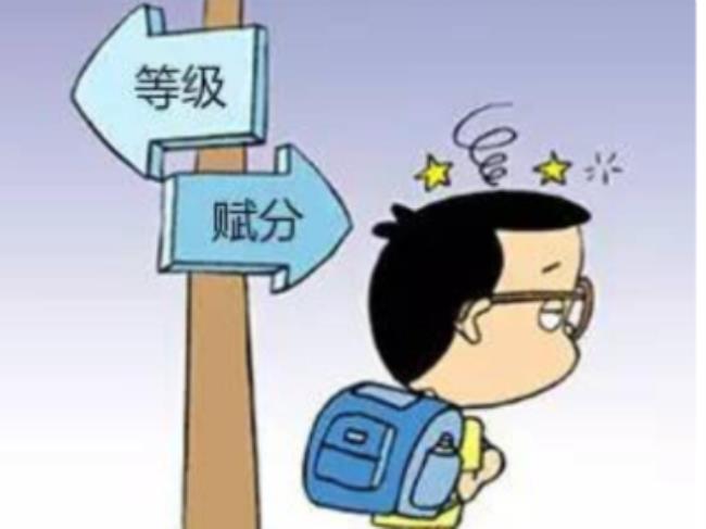 赋分是什么意思
