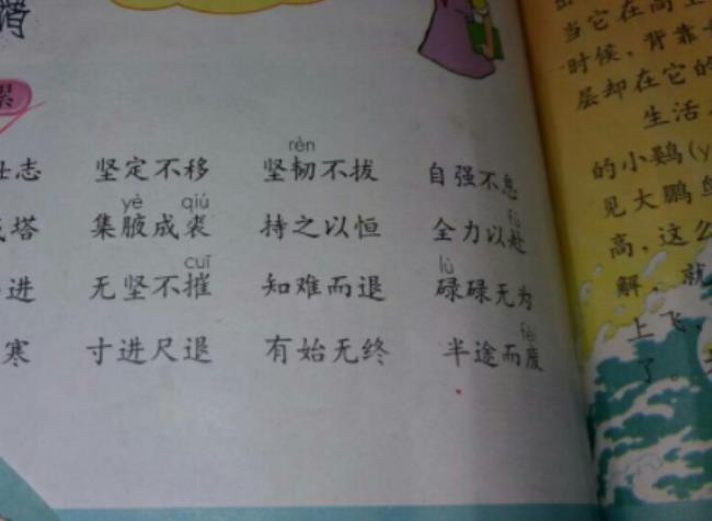 褒义词是什么意思