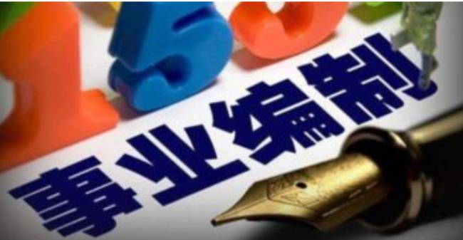 编制是什么意思