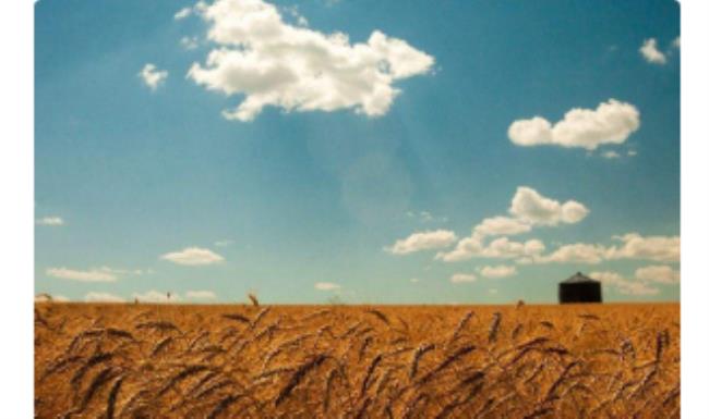 beyond是什么意思