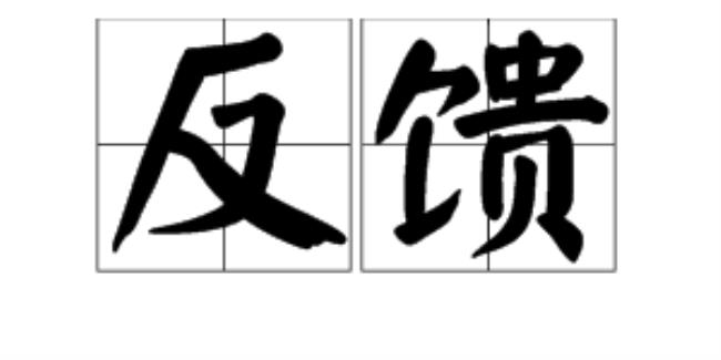 反馈是什么意思