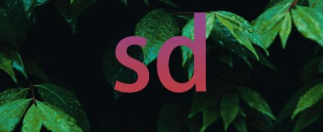 sd是什么意思