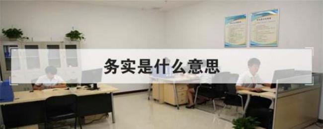 务实是什么意思