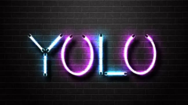 yolo是什么意思
