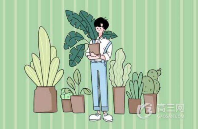 supper是什么意思