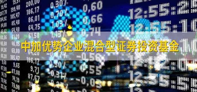 中加优势企业混合基金投资范围及策略