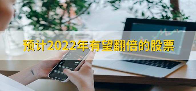 预计2022年有望翻倍的股票