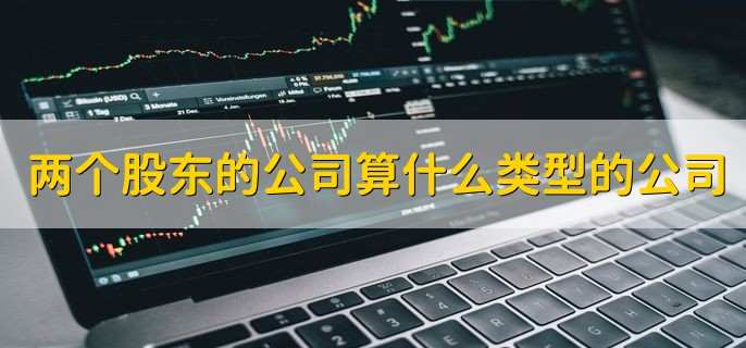 两个股东的公司算什么类型的公司 有限公司或合伙