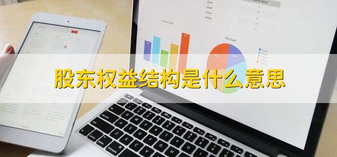 股东权益结构是什么意思 股权结构的类型