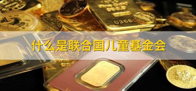 联合国基金会月捐取消有影响吗