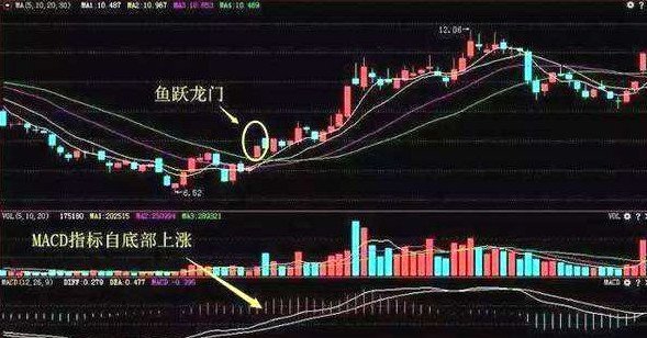 跳空高开收阳线 鱼跃龙门看涨形态