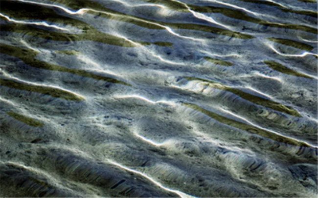 信用卡挂失补办要多久 怎么补办