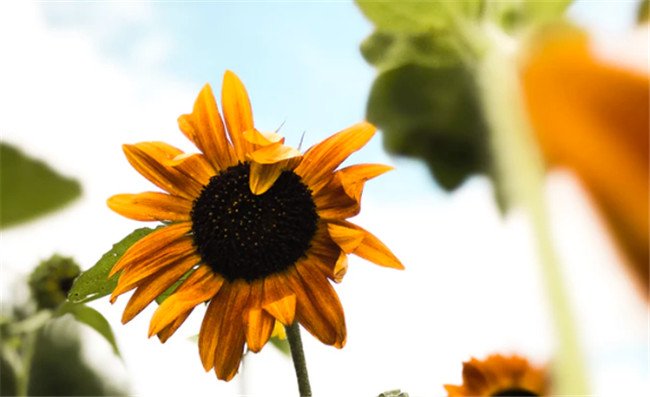 p2p合规机构条件成熟可申请备案