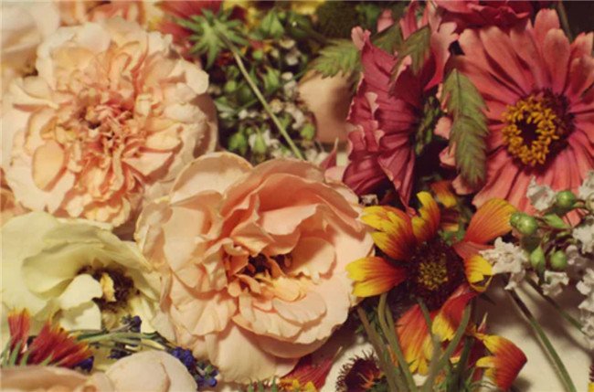 建设银行信用卡挂失补办要多久 建设银行信用卡挂失电话