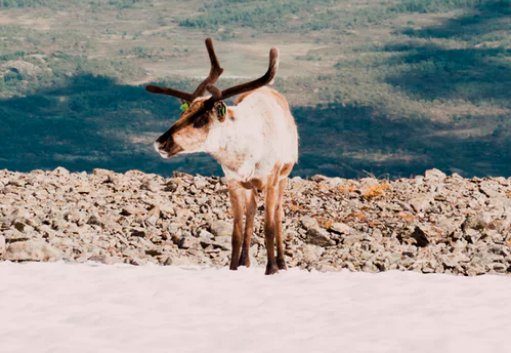 微乐分怎么帮别人还款?微乐分可以绑别人的信用卡还款吗?