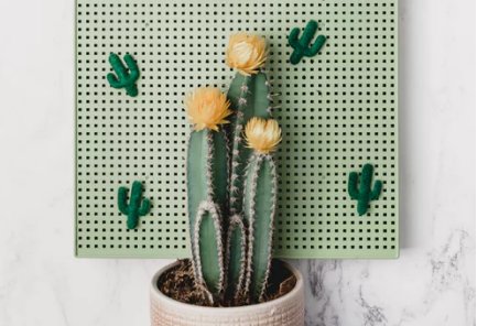 支付宝到账撤回操作流程 转账金额可以原路返回