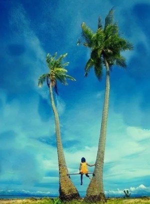 MYR是什么货币 1MYR可以兑换多少人民币