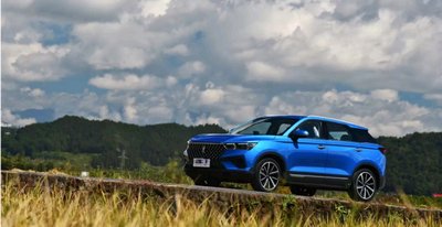 买车注意事项与细节 买车要注意的几个细节