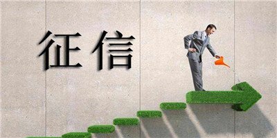 征信花是什么 征信花了怎么处理