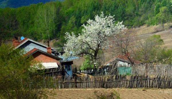 2019农村土地承包政策 哪些情况下农户承包的土地会被收回