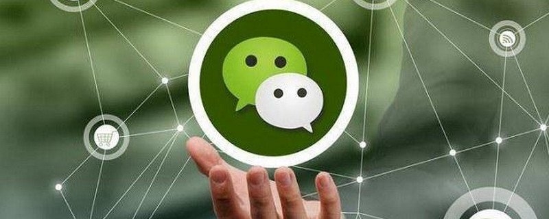 微信怎么查询社保缴费记录 查询方法很简单