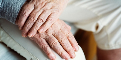 今年社保认证什么时候开始认证 社保认证时间规定2019