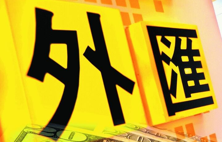 中国外汇市场监管_外汇市场监管的主体与客体_外汇市场监管的内容